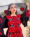 Balochi Embroidery Traditional Dress (Casual, Bridal, Wedding, Party Wear) Authentic Ethnic | Balochi Hand Embroidery (Copy) (Copy) (Copy)